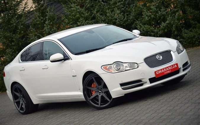 Jaguar XF cena 49900 przebieg: 219000, rok produkcji 2011 z Piwniczna-Zdrój małe 781